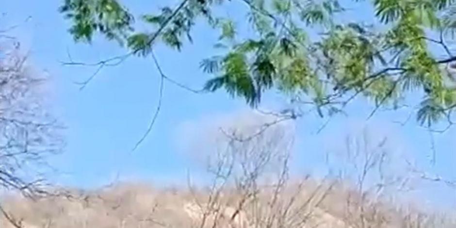 En un video los pobladores reportaron el ataque con drones en la comunidad Pinolapa, Michoacán.