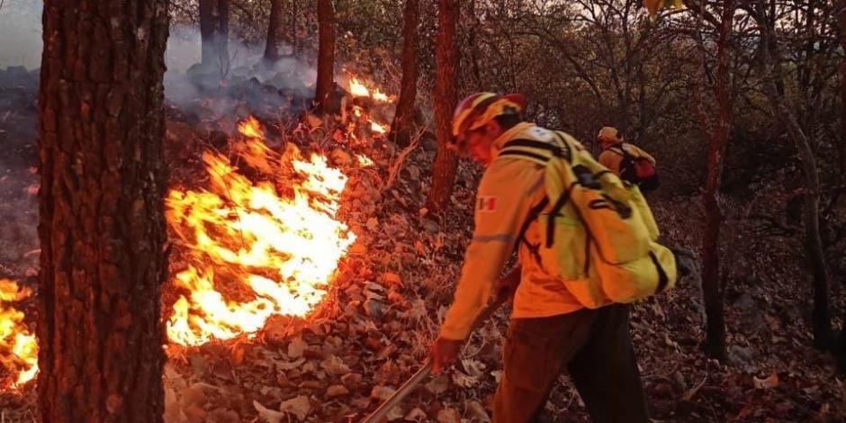 Incendios forestales en Jalisco.