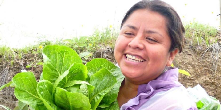 Por complicaciones de COVID-19, falleció la activista indígena Martha Sánchez Néstor.