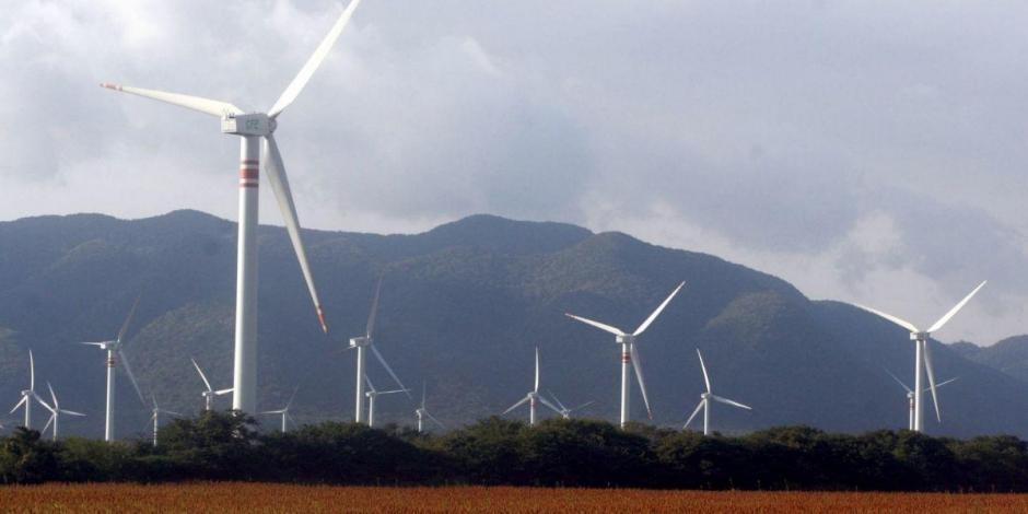 Tamaulipas, un referente en producción de energías limpias: GOAN.