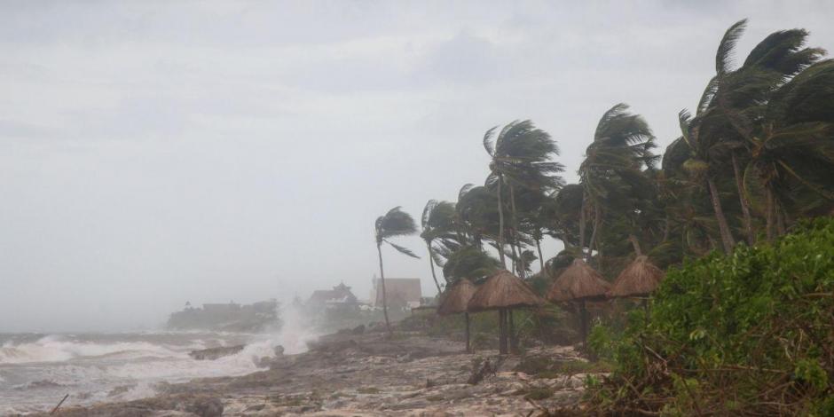 Las palmeras son arrastradas por el viento después de que el huracán Grace tocara tierra en la península de Yucatán, en Tulum, México.