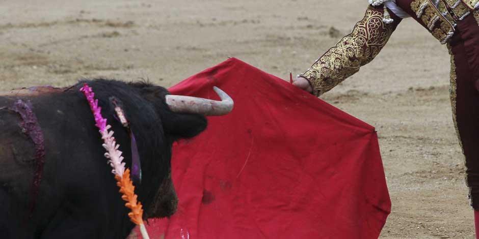 Un Juez federal en materia administrativa ordenó la suspensión provisional de corridas de toros en la Plaza México