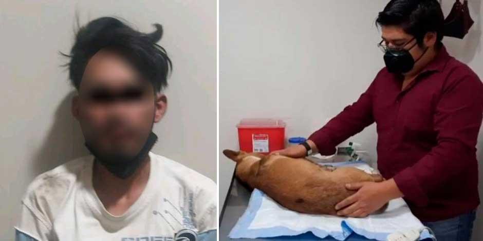Cae sujeto que atacó con pirotecnia a perrito en Ecatepec