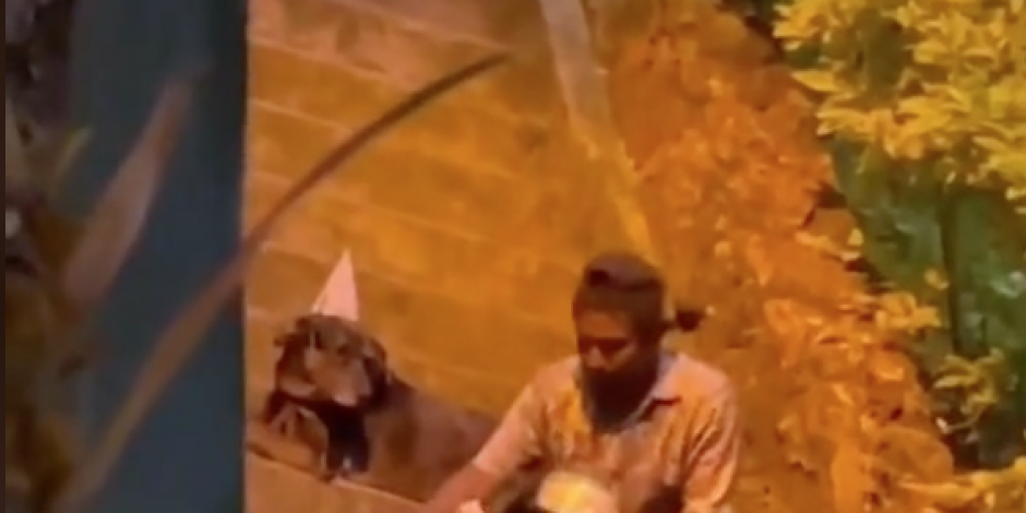 Captura del vídeo en el cual se aprecia al hombre compartiendo un pastel con los perritos