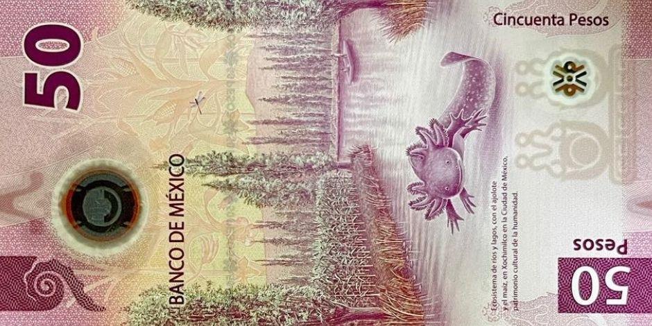 El billete de 50 pesos que presenta a un ajolote fue nombrado el mejor de 2021.