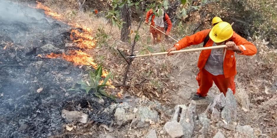 Incendios forestales en México.