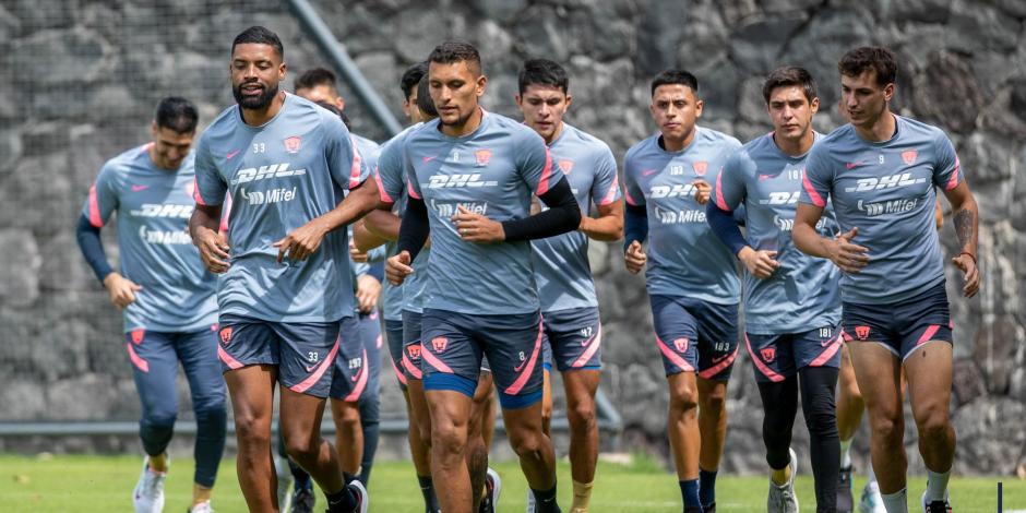 Los Pumas suman su tercer refuerzo del Apertura 2022