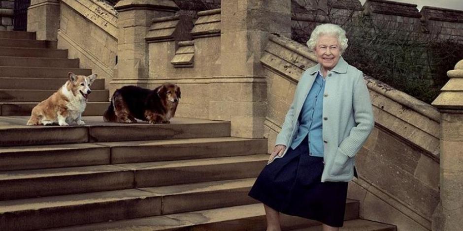 Con su amor por los corgis, Isabel II dio a conocer al mundo a esta raza originaria de Gales y una de las más antiguas de la Gran Bretaña. Estos especímenes se han caracterizado durante siglos por ser perros pastores.
