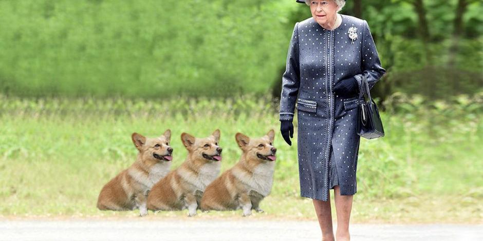 El primer perro raza corgi que tuvo la reina Isabel II de Inglaterra se llamaba Susan, que le regalaron en su cumpleaños número 18