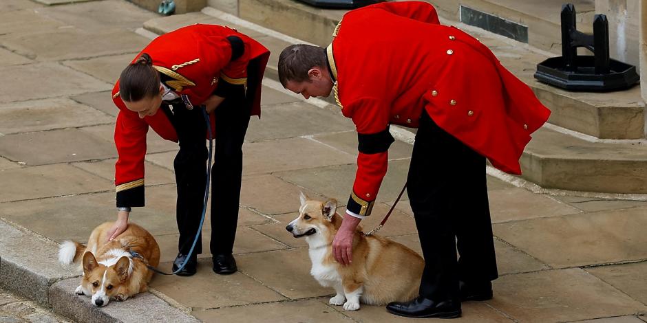 Los perros corgis de la reina Isabel II quedarán bajo el cuidado del duque de York y de su exesposa Sarah Ferguson.