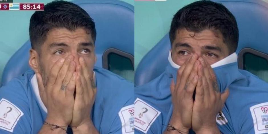Luis Suárez llora tras la eliminación de Uruguay en el Mundial Qatar 2022