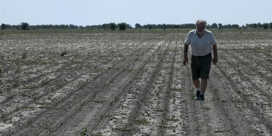 Pablo Giailevra camina en su campo de algodón durante una sequía en curso en Tostado, provincia de Santa Fe, Argentina, el 18 de enero de 2023