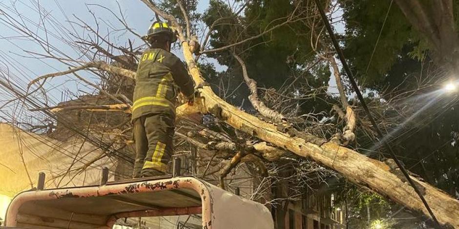 Un bombero de la CDMX retira un árbol que se desprendió desde su raíz por los fuertes vientos en Lago Kolind, colonia Pensil de la alcaldía Miguel Hidalgo