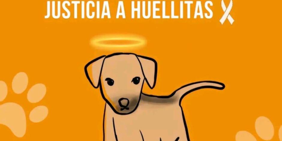 Huellitas era un perrito querido por la comunidad estudiantil de Huauchinango.