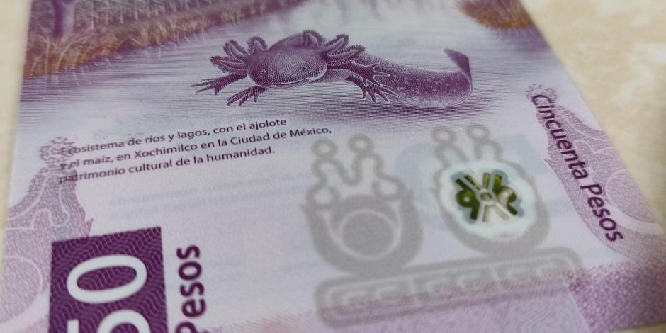 El billete del ajolote se vende hasta en tres millones de pesos si tiene dos características especiales.