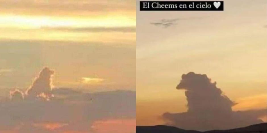 A días de la muerte de Cheems, una nube con la forma del perrito más viral de Internet apareció en el cielo.