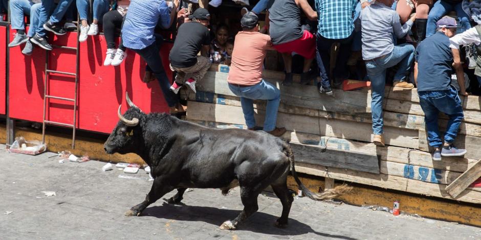 Un toro persigue a las personas que asistieron a la Huamantlada en tLAXCALA