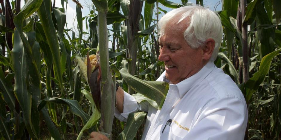 El titular de Agricultura, Víctor Villalobos Arámbula, resaltó que desde 2019, el Gobierno de México inició un proyecto estratégico para potenciar el cultivo de las razas de maíces nativos