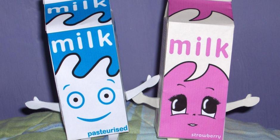 ¿Cuál leche es mejor?