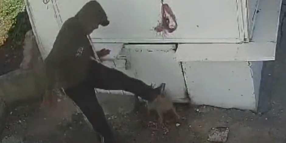 Un empleado del servicio de recolección de basura patea a un perrito junto a un puesto de lámina