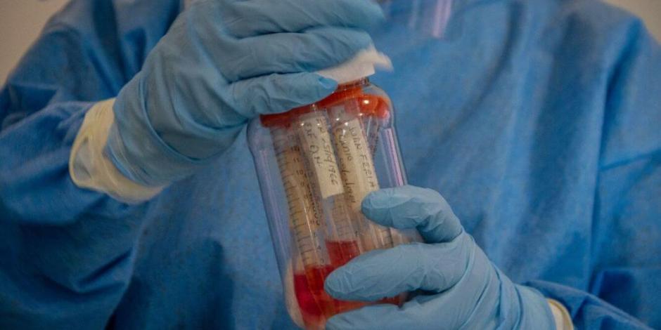 Iniciará Rusia pruebas de posible vacuna para combatir COVID-19