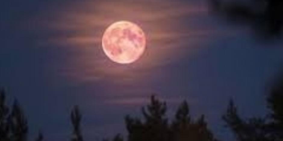 Superluna rosa del mes de abril ¿qué es y cuándo verla?