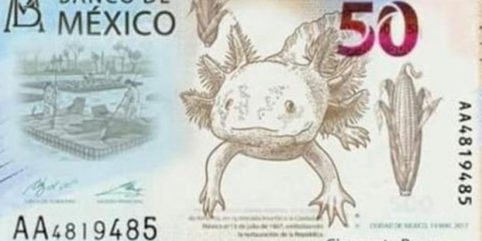 Billete de $50 con imagen del ajolote, listo para 2022: Banxico