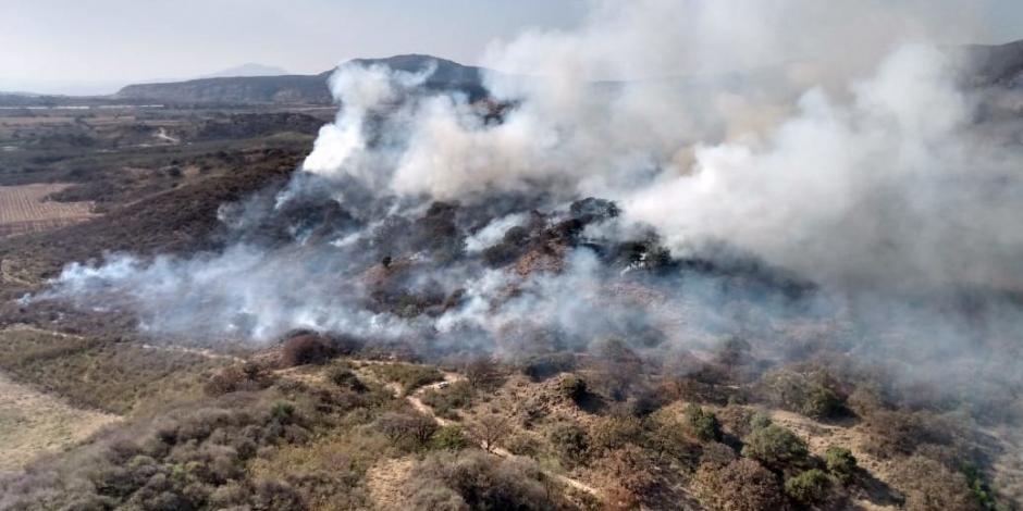 Apagan incendio en el bosque de La Primavera, en Jalisco