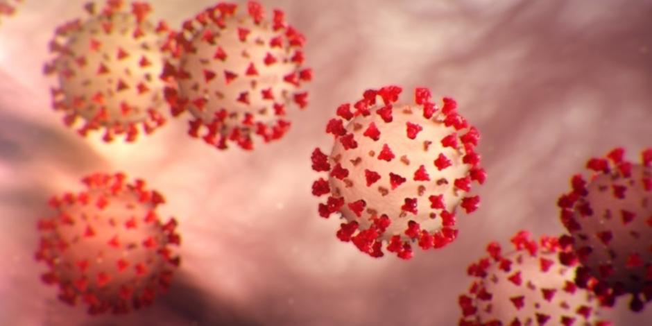 ¿Qué es un coronavirus y cuántos tipos existen? Aquí te lo decimos