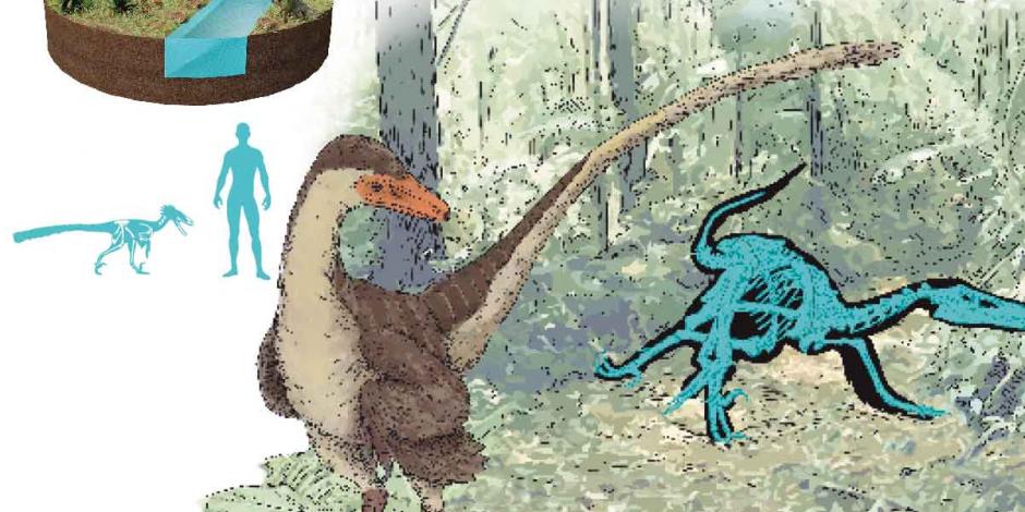 Descubren dinosaurio emplumado que vivió hace 70 millones de años