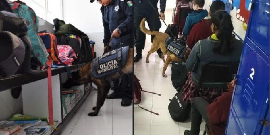 Con binomios caninos, policía municipal revisa mochilas en Torreón