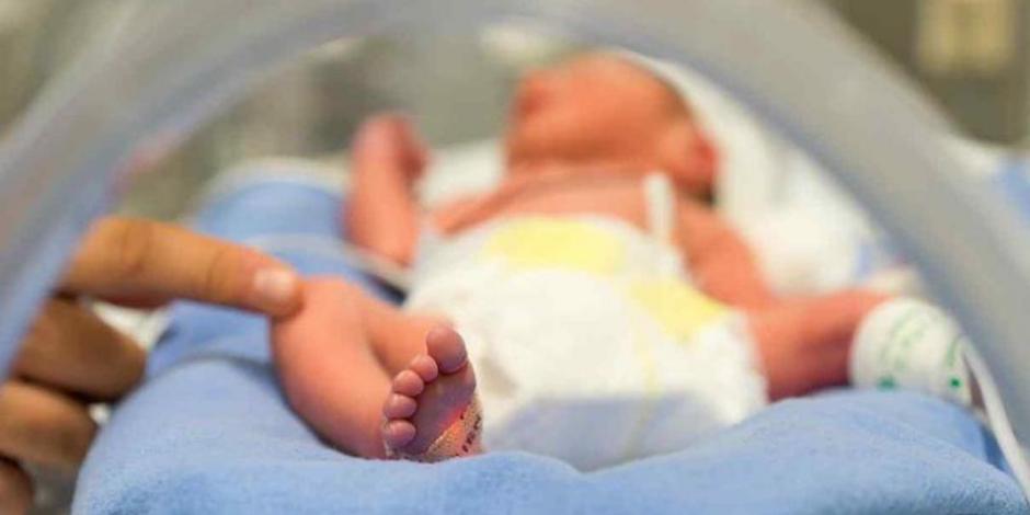 Sin sobrevivencia garantizada, más de 392 mil bebés