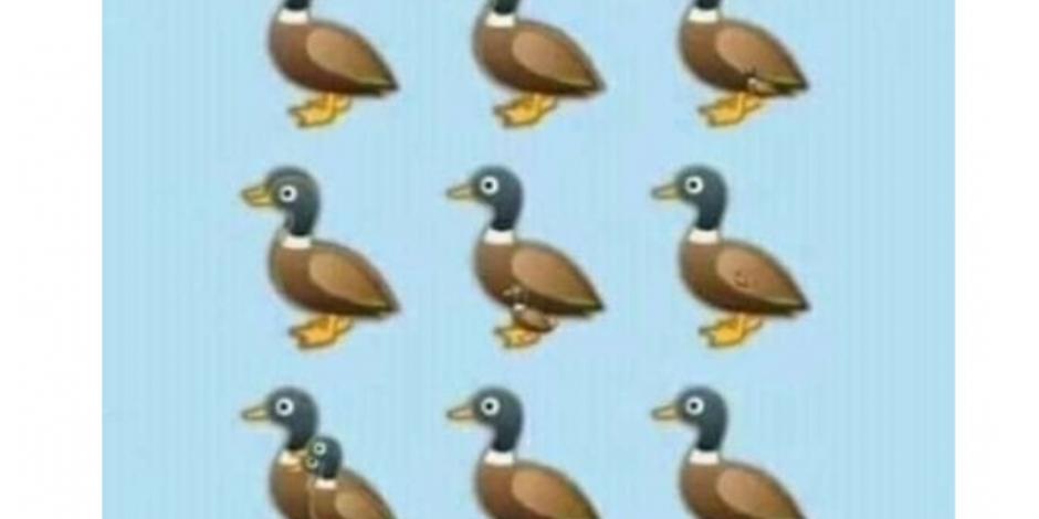 Reto viral: ¿Cuántos patos puedes ver en la imagen?