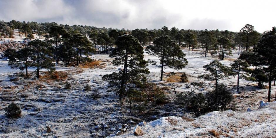 La Rosilla en Durango, el lugar más frío de México, registra -16 grados