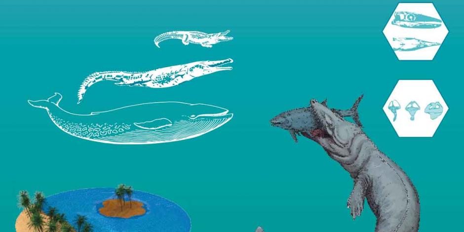 Hace 190 millones de años los cocodrilos se parecían a los delfines