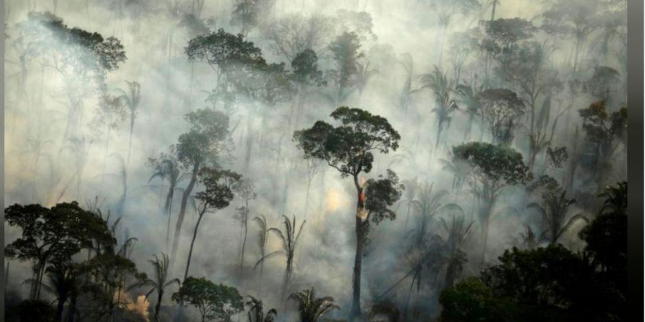 Brasil enviará a militares a combatir deforestación e incendios en Amazonas