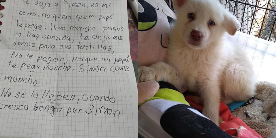 Niño deja a su perro en albergue con carta: "No quiero que mi papá le pegue"