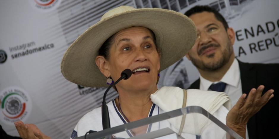 Jesusa Rodríguez presentó su dimisión a la propuesta de ser embajadora de México en Panamá, por motivos personales.