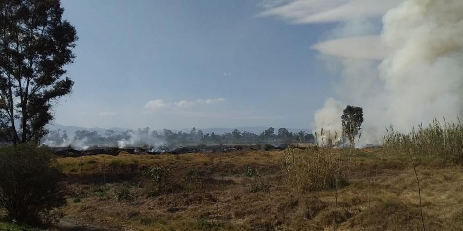 Incendio consume pastizales en Xochimilco; bomberos trabajan en la zona