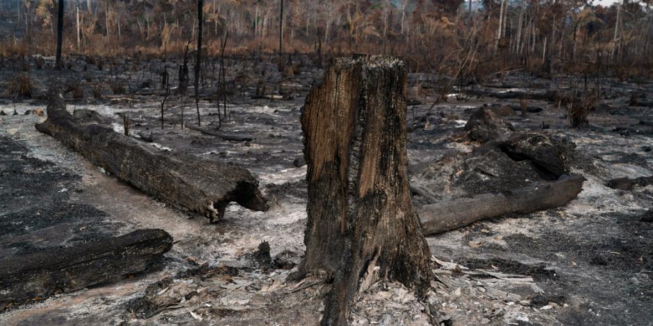 Cómo el fuego en la Amazonia pone en peligro las metas del Acuerdo de París