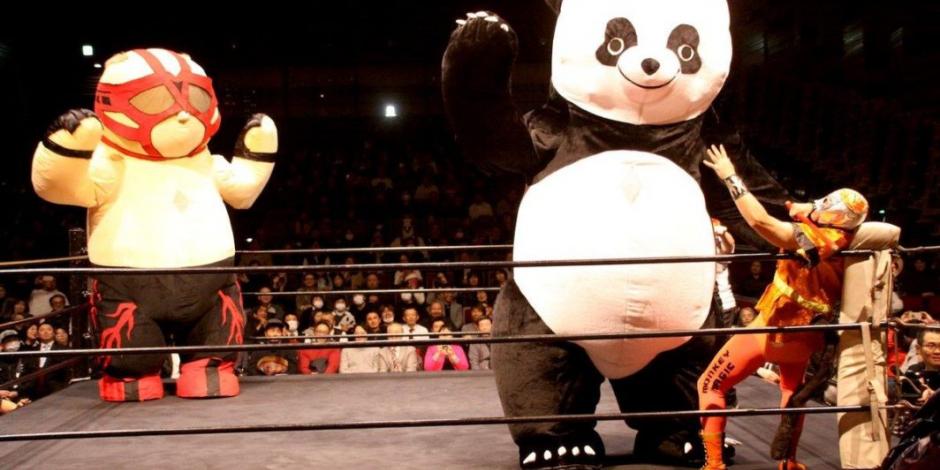 :: VIDEO :: Panda gigante aterroriza a sus rivales arriba de los rings