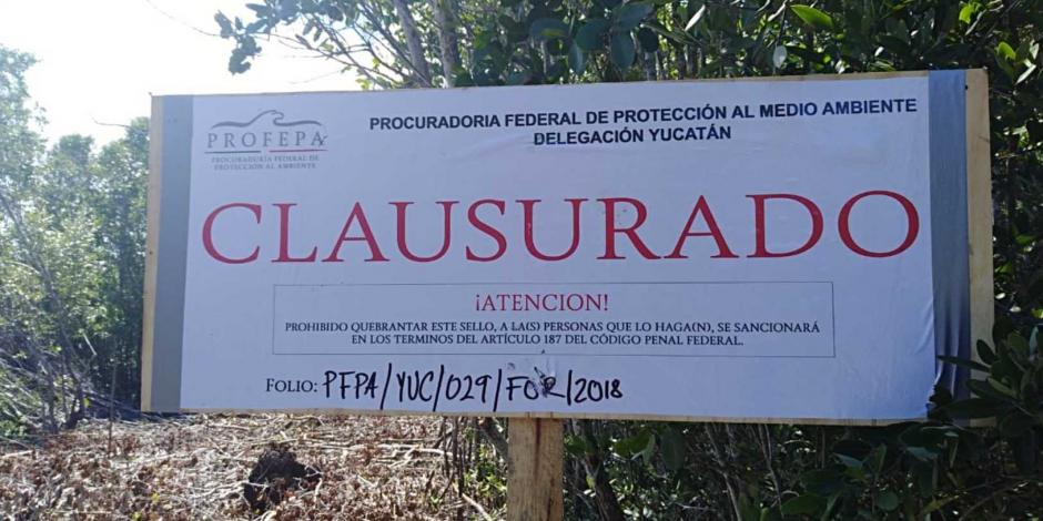 Multan con más de 5 mdp a municipio de Yucatán por acabar con manglares