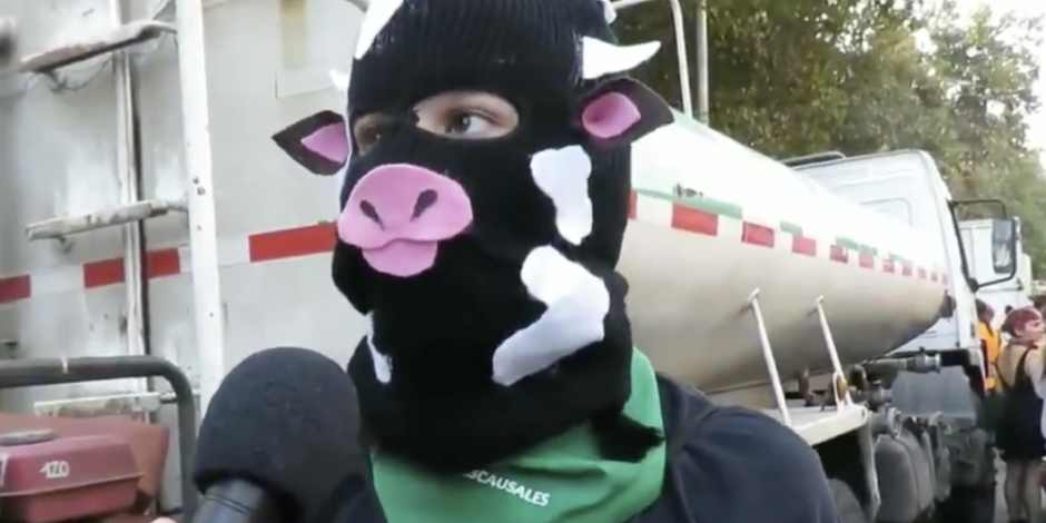 VIDEO: Activistas españolas inician boicot contra consumo de lácteos