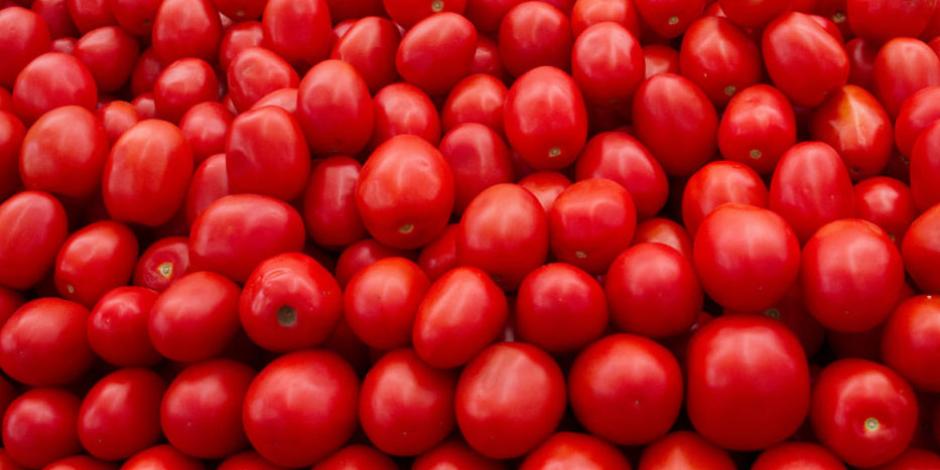 Advierten sobre nueva amenaza de EU para productores de tomate