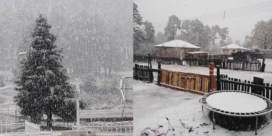 Postales que dejó la primera nevada en Madera, Chihuahua (FOTOS)