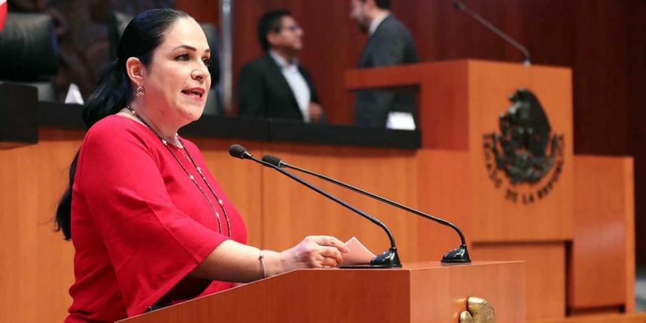 Revoca TEPJF invalidez de elección de Fernández para presidir Senado