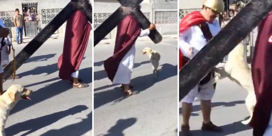 VIDEO: Perro intenta defender a "Jesús" de azotes de los romanos