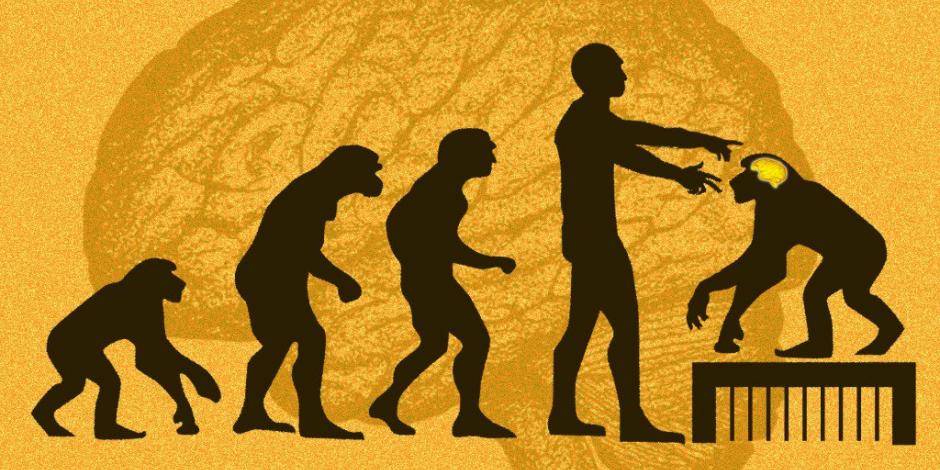 Implantan genes humanos en monos y se vuelven más inteligentes