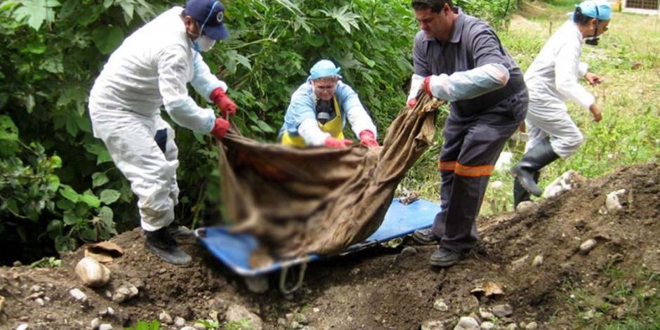 Localizan 34 cuerpos en fosas clandestinas en Guadalajara