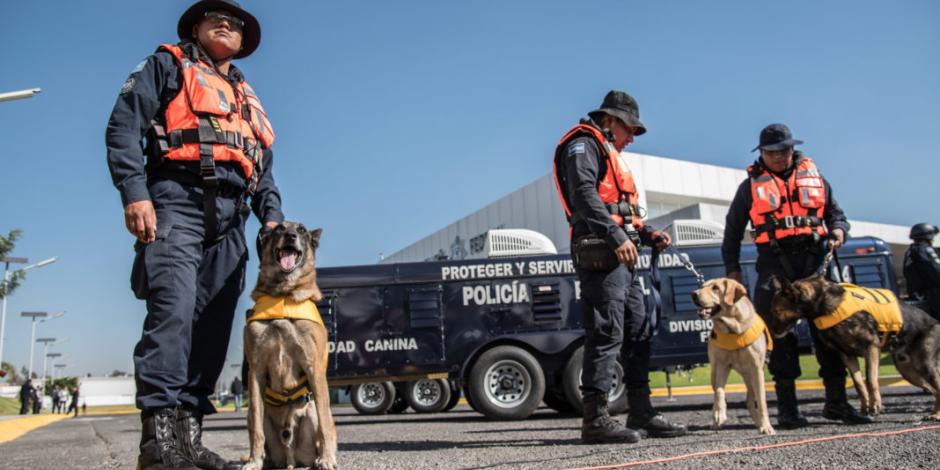 Retiran a 28 oficiales caninos y alistan su adopción para familias